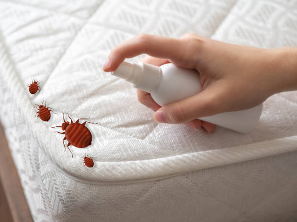 Best Indoor Pest Control  in St Charles, MI